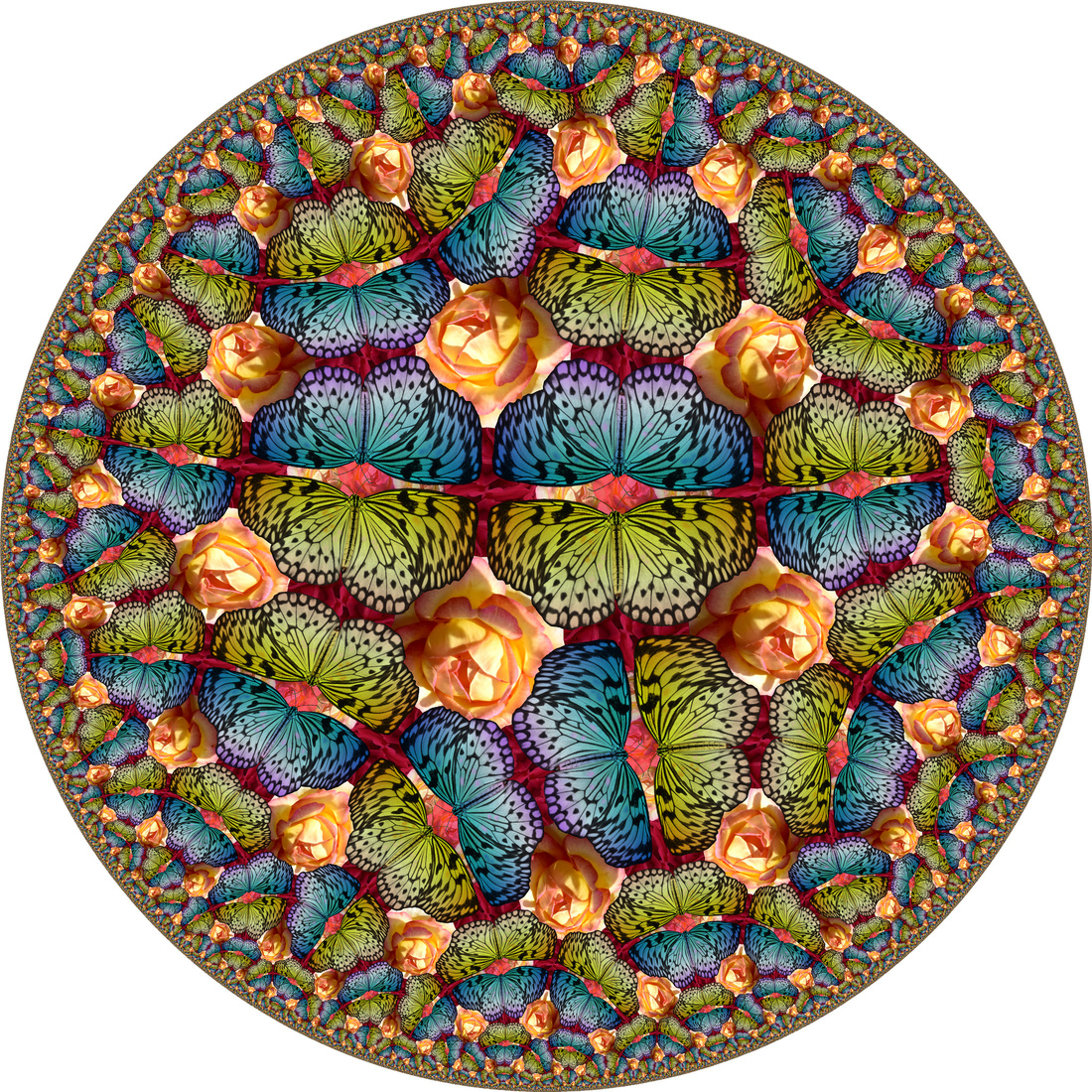 Vlinders in Rozentuin