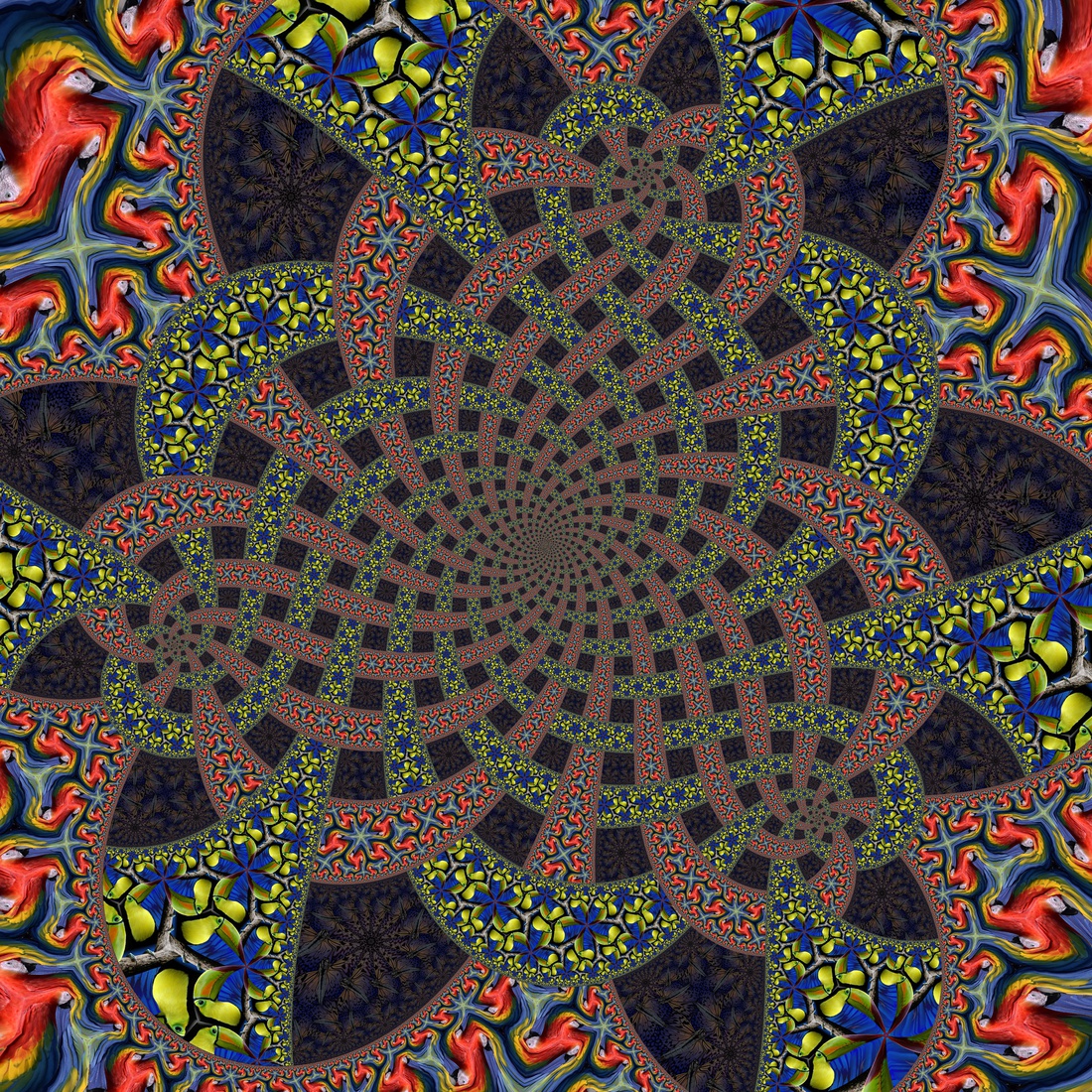 Trio Spiraal van Papegaaien en Toekans