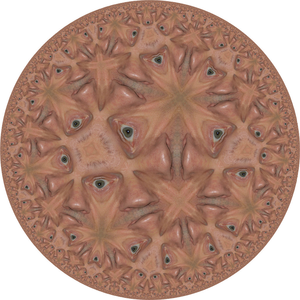 De hyperbolische ruimte kan geprojecteerd worden op een (Poincaré) schijf. Als gevolg hiervan worden verre objecten in de hyperbolische ruimte zeer klein aan de rand van de schijf. M.C. Escher heeft 4 houtsneden gemaakt met een vlakvulling, die bekend staan als Circle Limits.