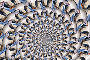 Een spiraal geeft dynamiek weer, een transformatie van klein naar groot en andersom. Een dubbele spiraal toont dit effect in nog sterkere mate.