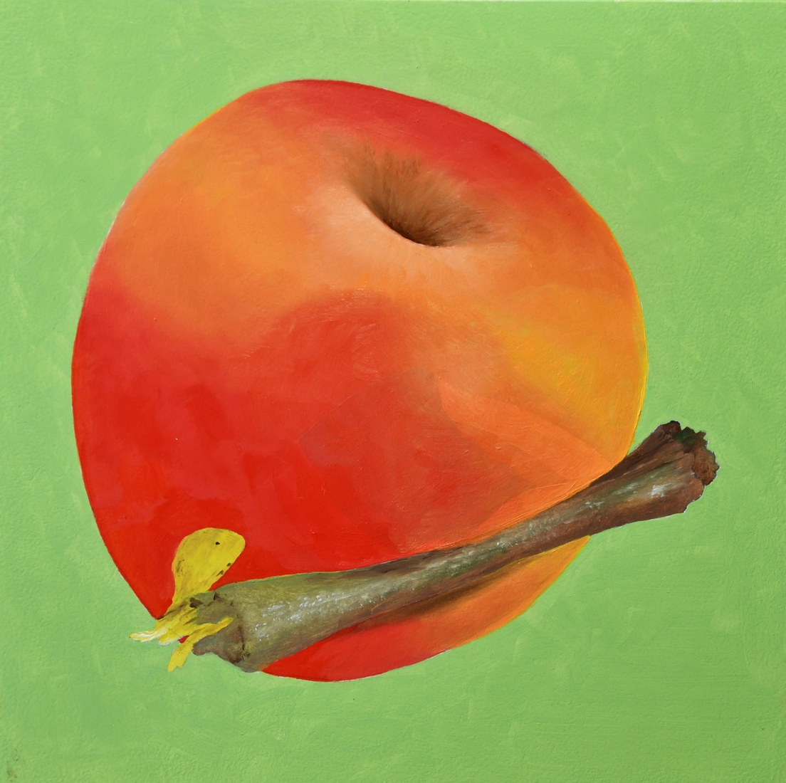 Appel-Steel