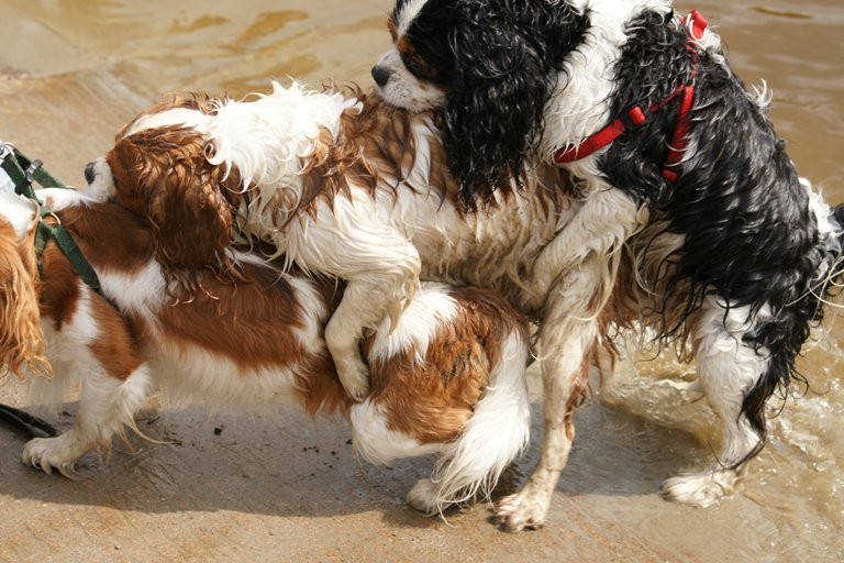 Zand in mijn oogjes II