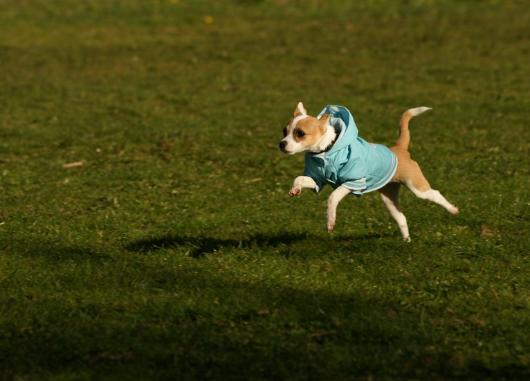 Rennen met een jasje aan