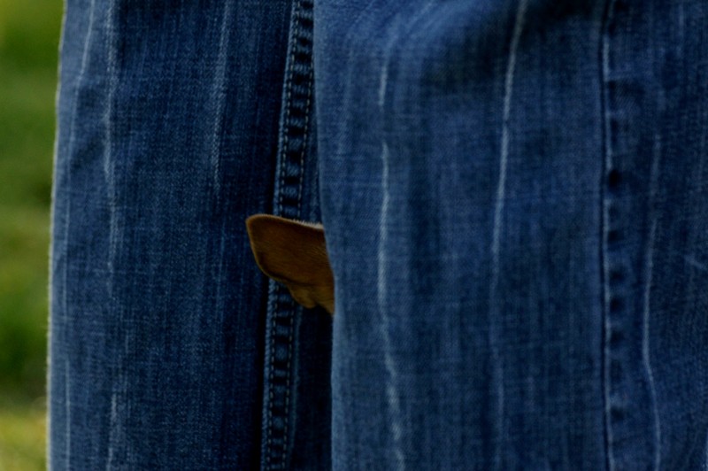 Baas en een stukje ....