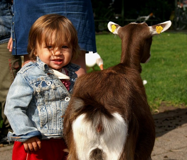 Op de kinderboerderij