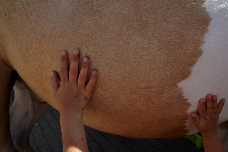 Twee handen op éen buik