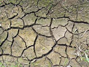 Menselijkheid vormgegeven in de aarding, stevigheid en eenvoud van klei. 