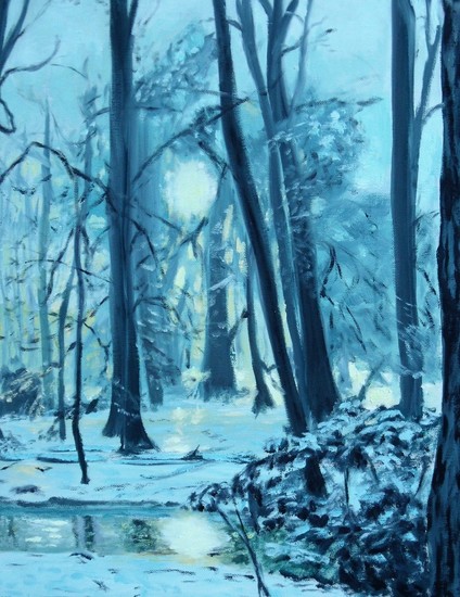 Winter in het Spanderswoud 's Graveland