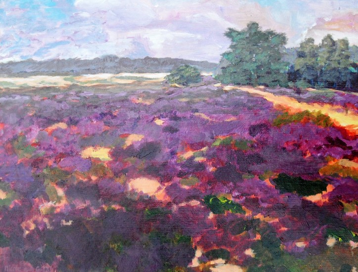 Zuiderheide met uitzicht op het Laarderwasmeer