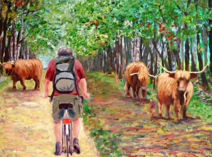 Schotse Hooglanders op het Gebed zonder End