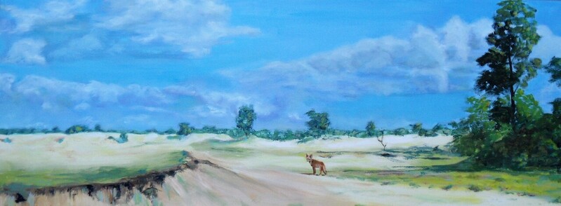 Zandverstuiving in het Laarder Wasmeer nabij Hilversum