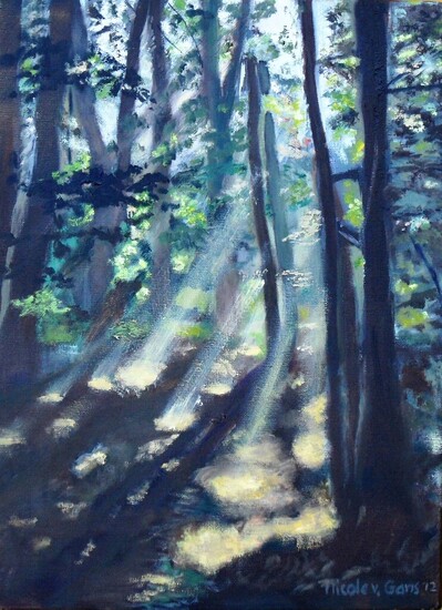 Zonsopkomst in het Corversbos Hilversum