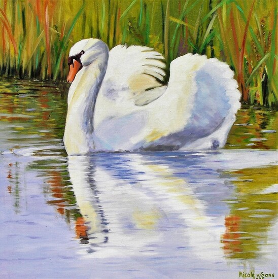 Zwaan in de Eempolder