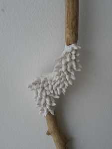 takken bemost met porselein