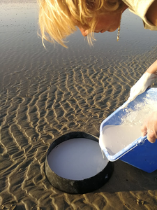 Kijken, zoeken en vinden waar kan dat beter dan op het strand. Het steeds veranderende licht, kleur en patroon van zand lucht en zee blijven fascineren. Kon ik dat maar vastleggen.