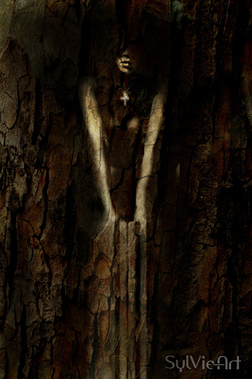 Natuur, kunst over vrouwen