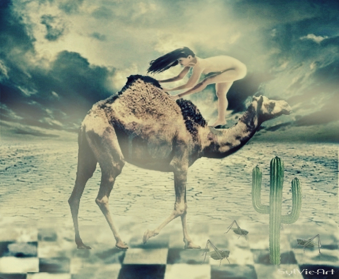 Bekkenbodem, kunst over vrouwen