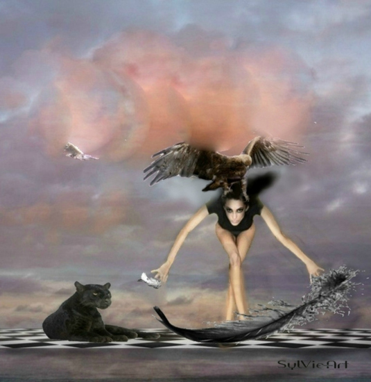 Kracht, kunst over vrouwen