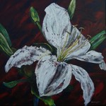 aswel figurative as abstract work in bright colours. A nice paintings creates pleasure. When I don't paint I explore methods and colours.