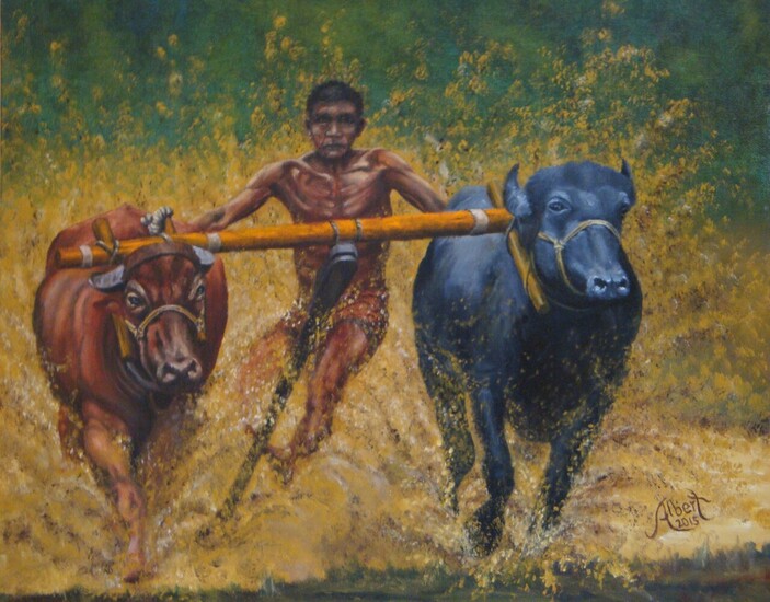 Kerapan Sapi (Karbouw Races)