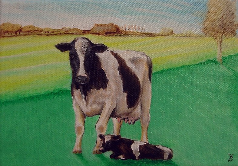 mother cow