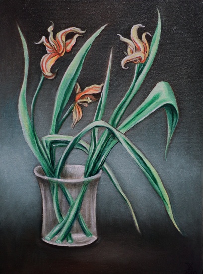 uitgebloeid....4-mei-2010