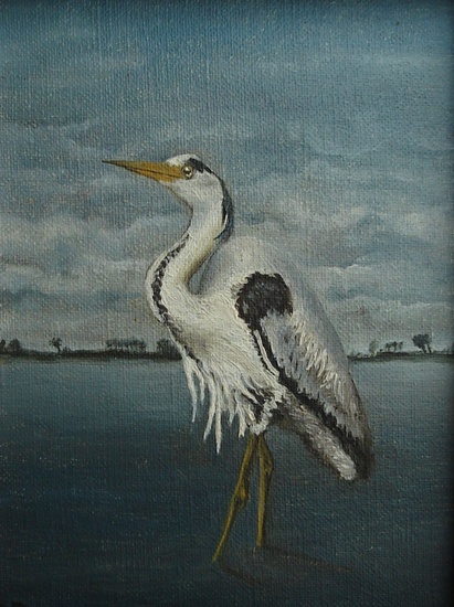 reiger