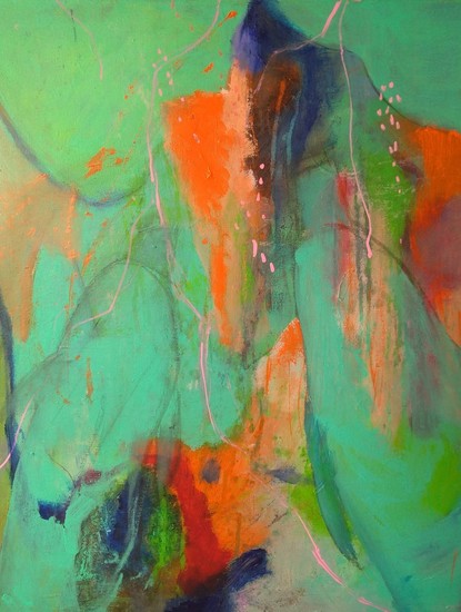 Dolphin experience 3