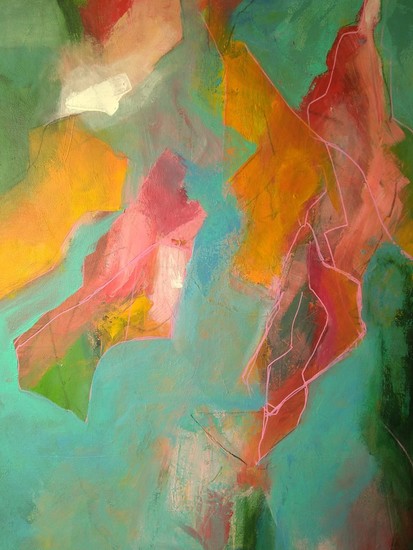 Dolphin experience 2