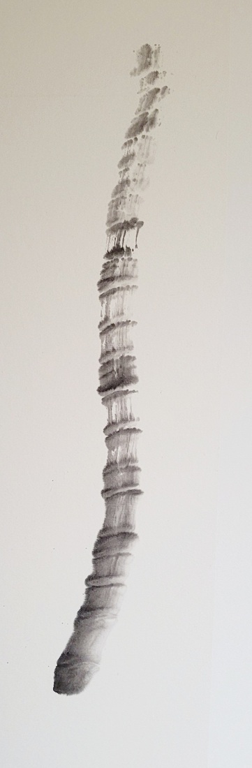 Spine