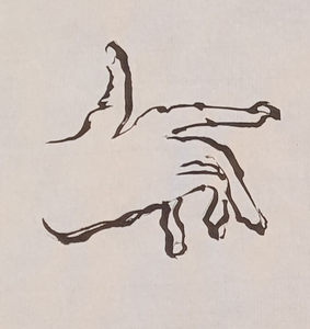 Sylvia schildert haar steeds veranderende handen