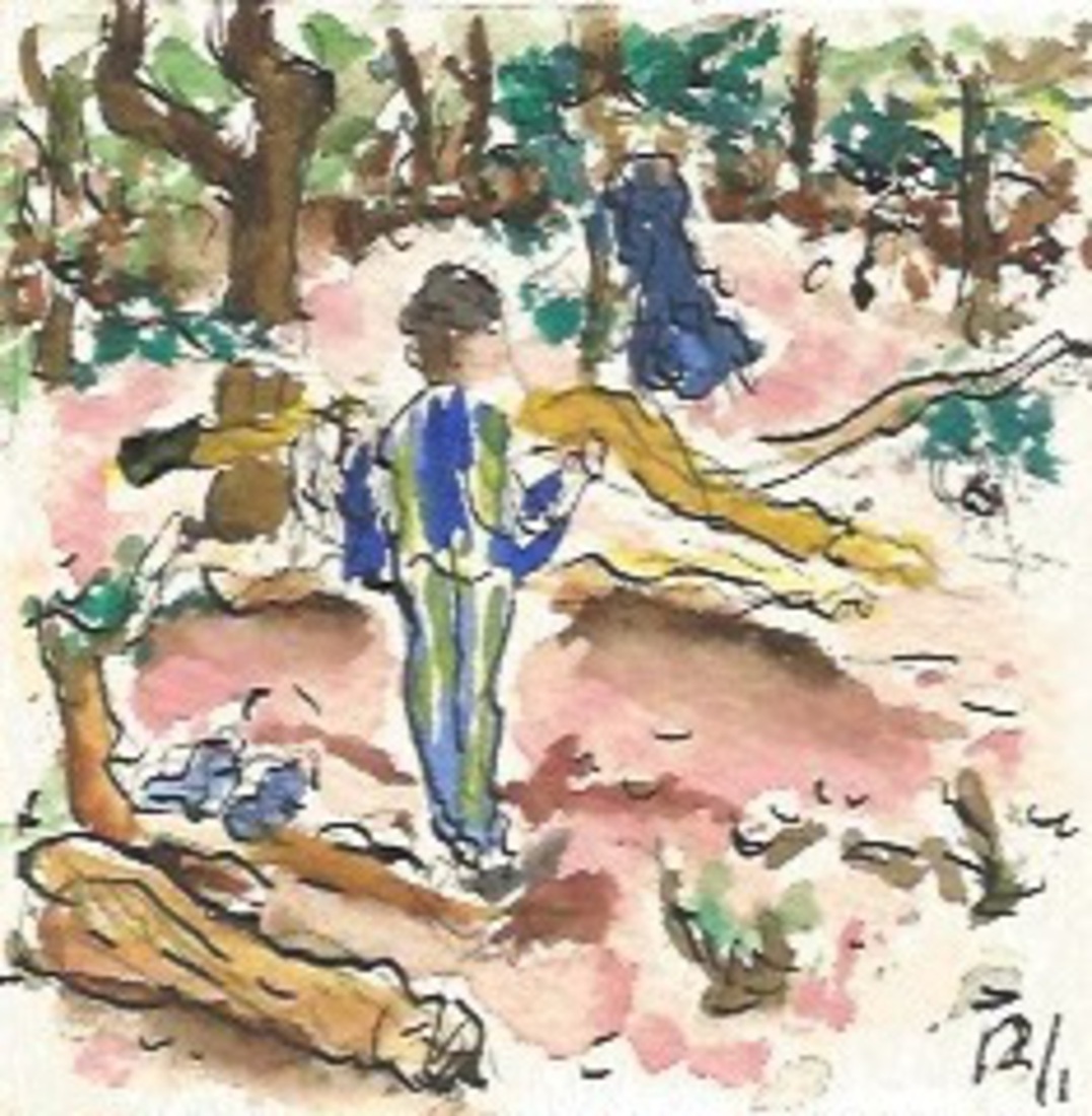 12 januari 2020. Sportschool, een goedkoop alternatief