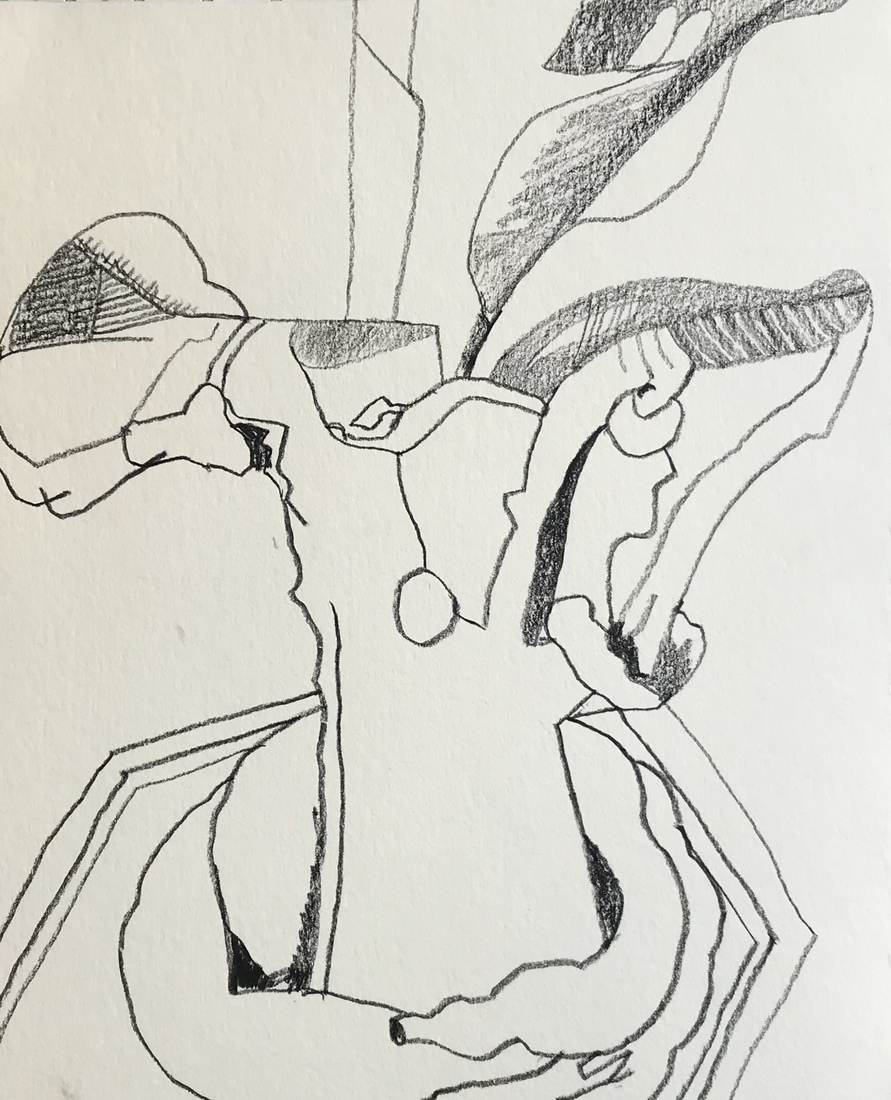 schetsboek ontmoeting, Banyuwangi