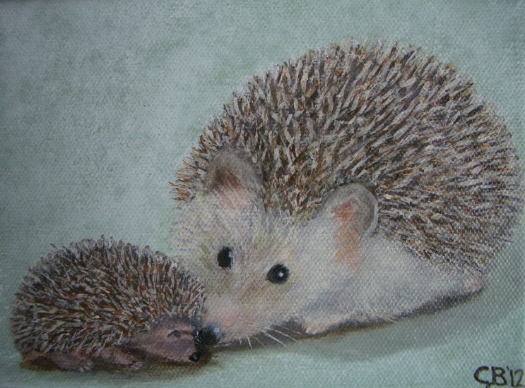 Hedgehog with little one