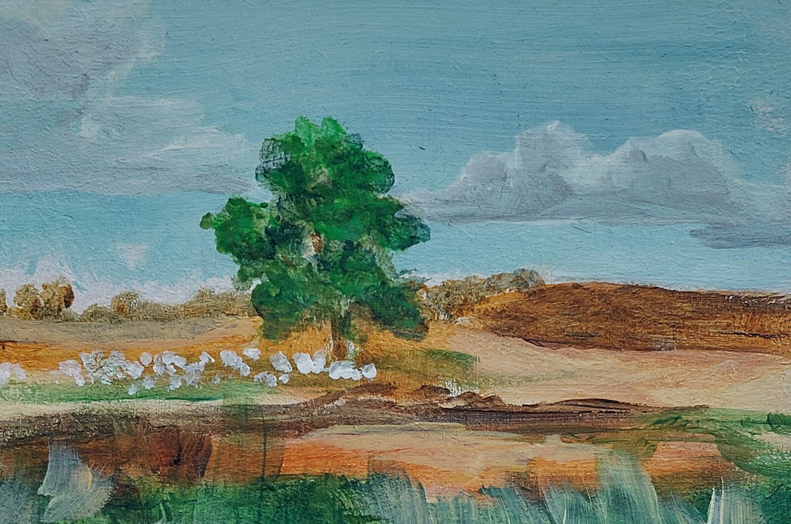 schapen op de hei