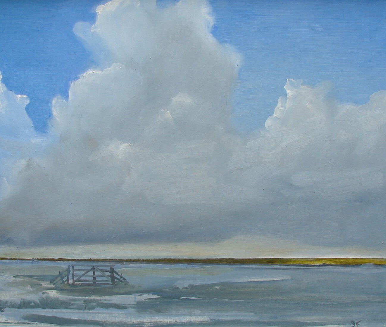 Hek in het natte landschap