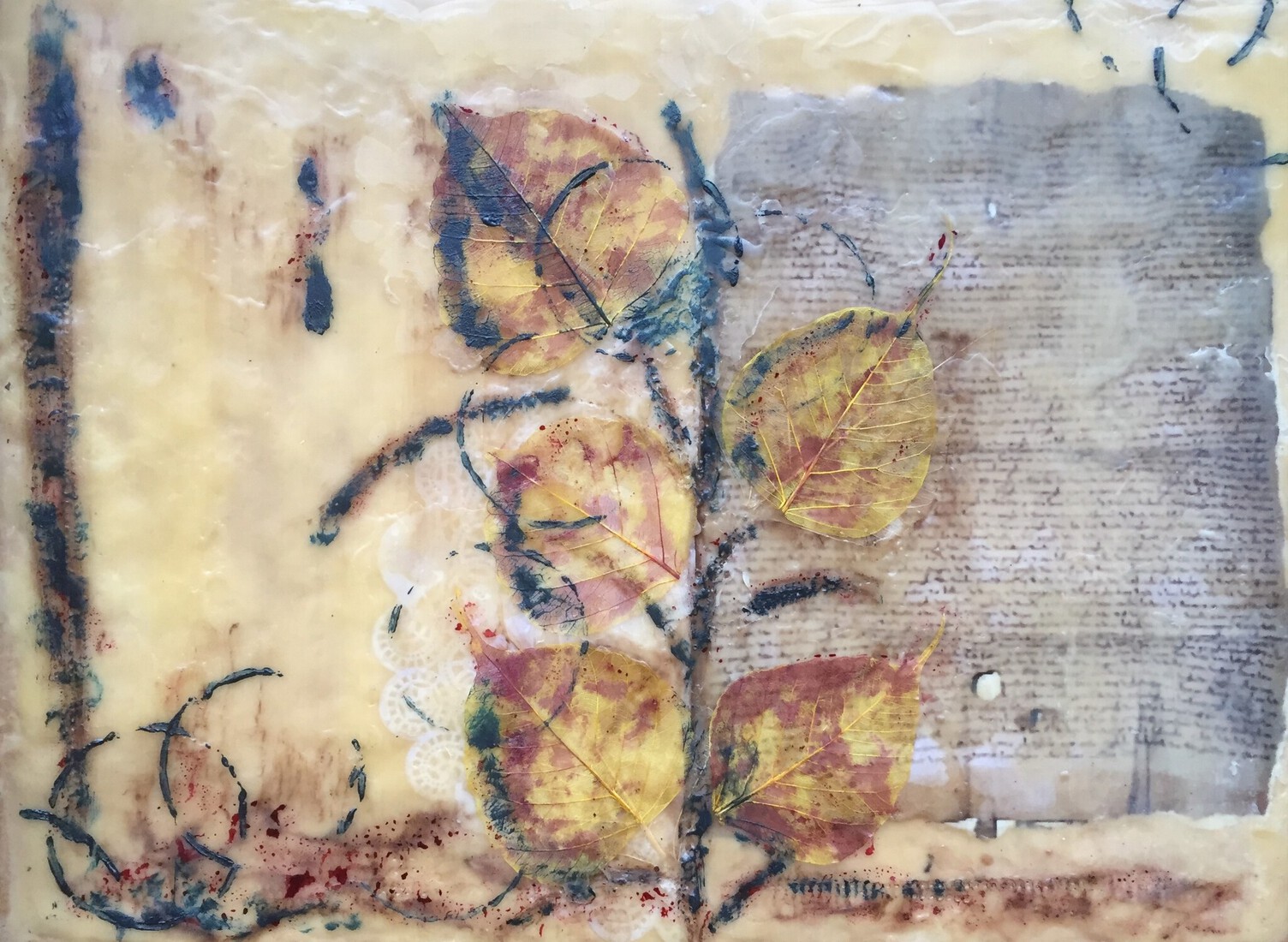 Waarvan acte; 7-12-1295