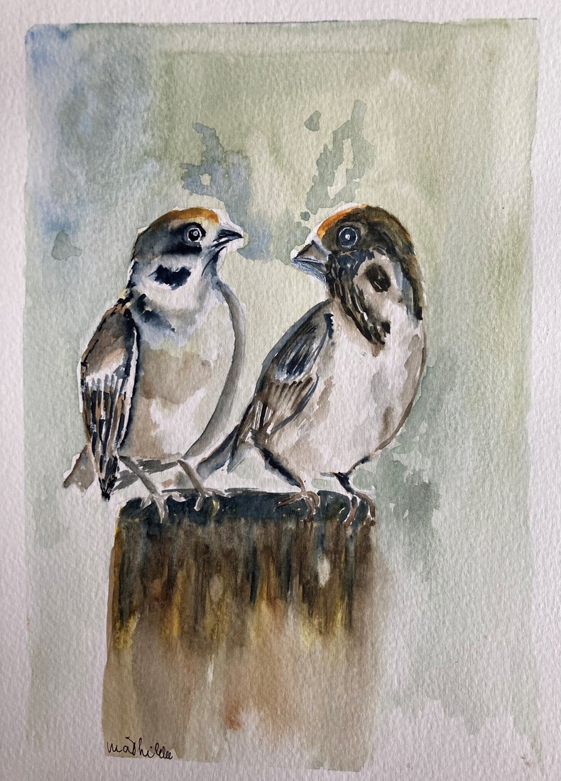 Geen musje zal vallen...