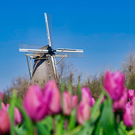 Hollandse molen