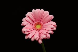 De schoonheid van de natuur