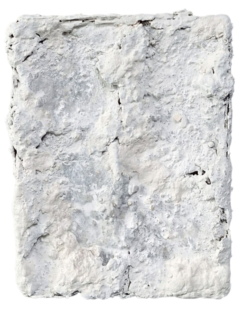 Saiseki 1