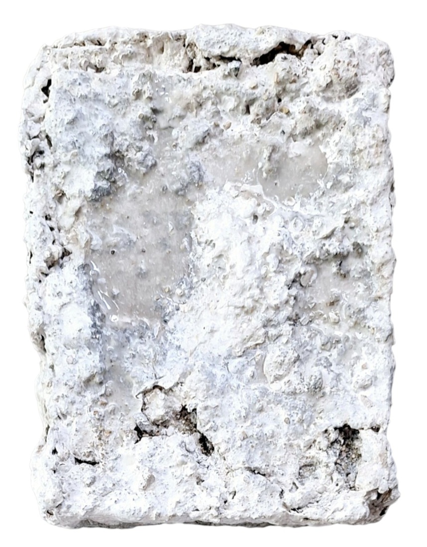 Saiseki 2.