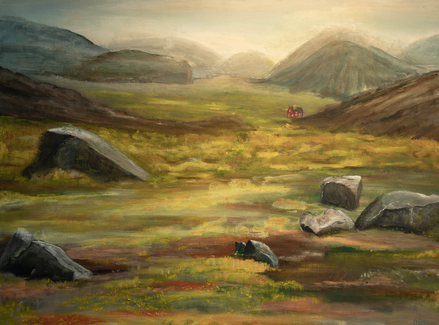 Boterbloemen, stenen en bergen in de Groenlandse zomer