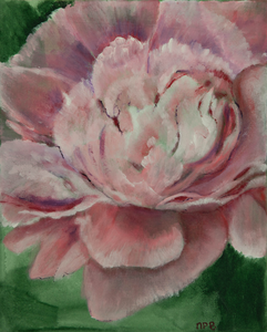 Van heel dichtbij of in de vaas, altijd mooi