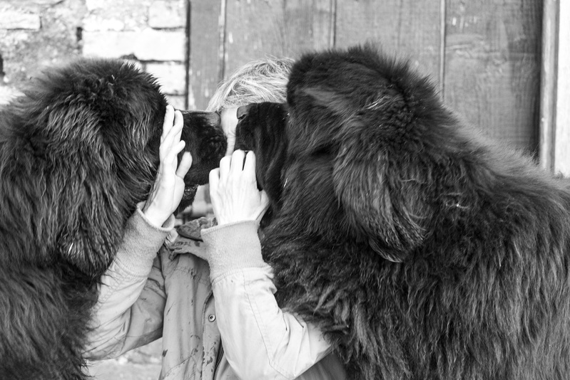 Life at Serra do Mar 5