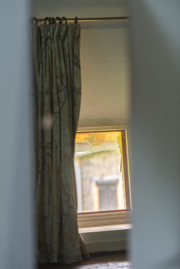 Life at Serra do Mar 6