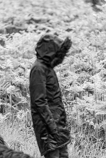 Life at Serra do Mar 7