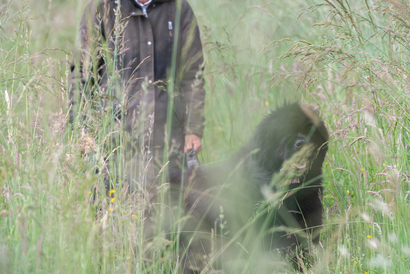 Life at Serra do Mar 8