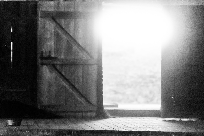 Life at Serra do Mar 9