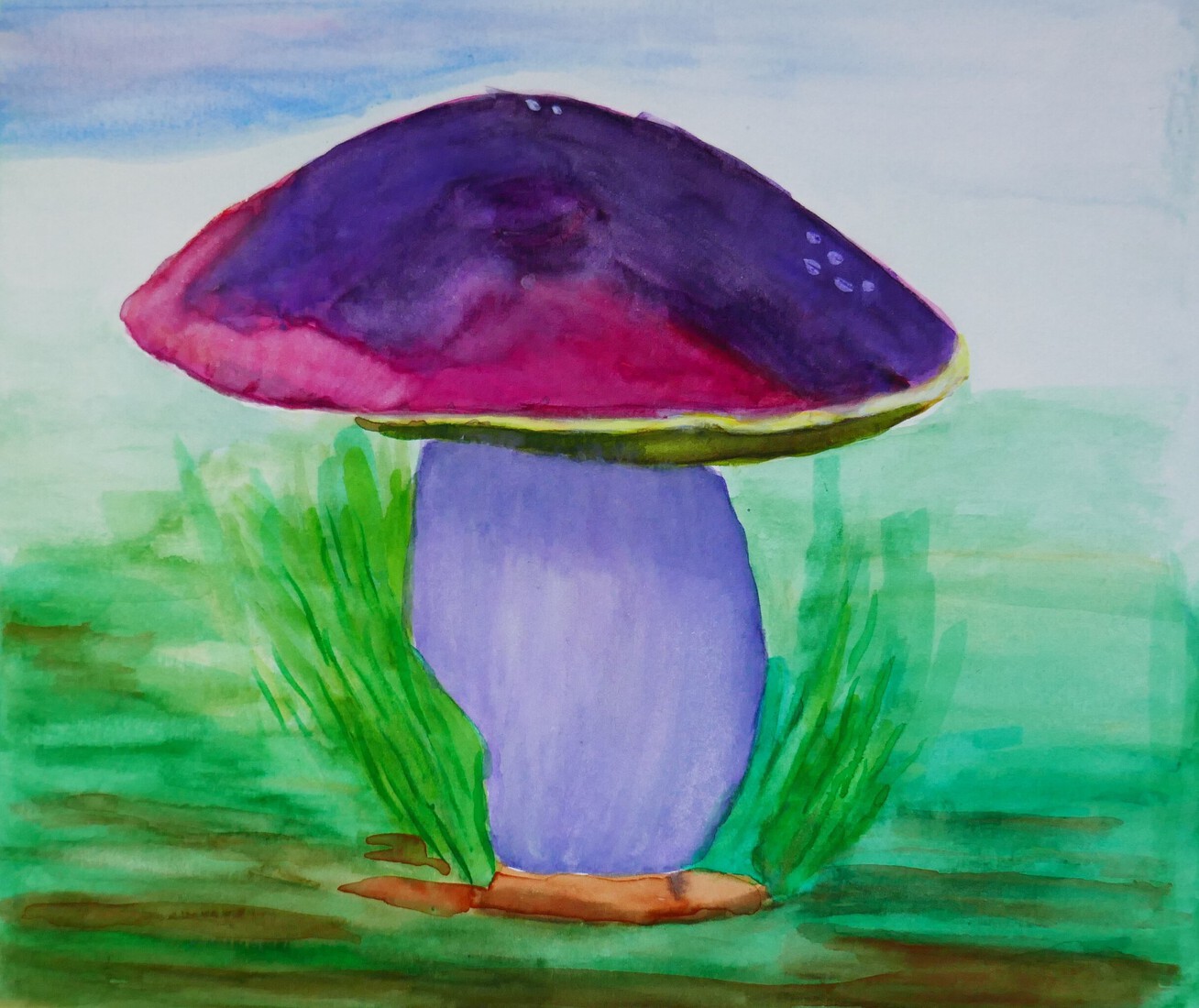 Paddenstoelen 1